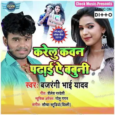 Nache Nehawa Chal Aaihe - Bajrangi Bhai Yadav album cover 