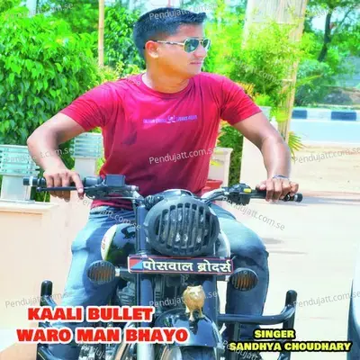Kari Bullet Waro Man Bhayo Sandhya Choudhary - Sandhya Choudhary album cover 