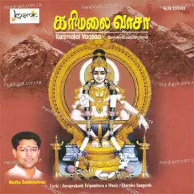 Anandamayan - Madhu Balakrishnan album cover 