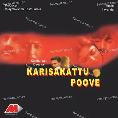 Vaanam Partha - Ilaiyaraaja album cover 