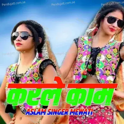 Karle Kaam - Aslam Singer Mewati album cover 