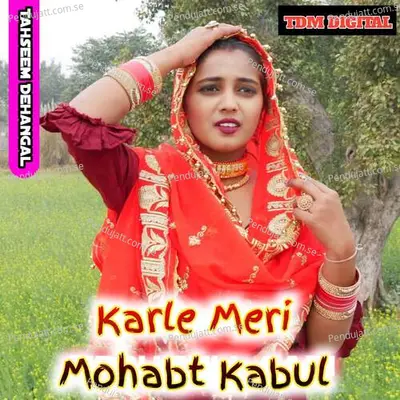 Karle Meri Mohabt Kabul - Tahseem Dehangal album cover 