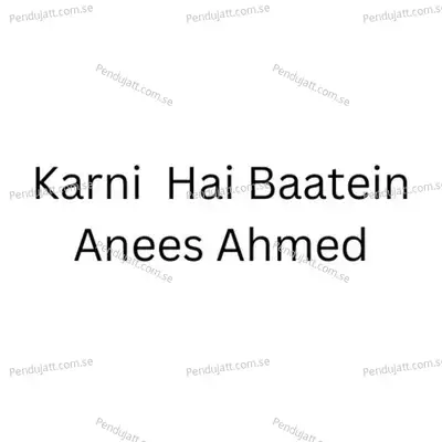 Karni Hai Baatien - Ahmad Anees album cover 