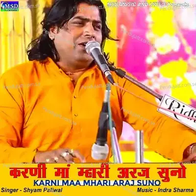 Karni Maa Mhari Araj Suno - Shyam Paliwal album cover 