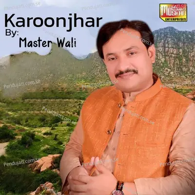 Karoonjhar - Master Wali album cover 