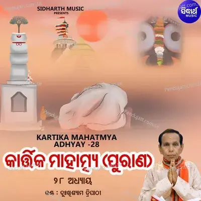 Kartika Mahatmya Adhyay 28 - Dukhishyam Tripathy album cover 