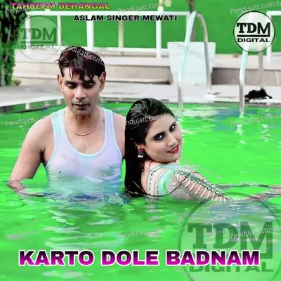 Karto Dole Badnam - Tahseem Dehangal album cover 