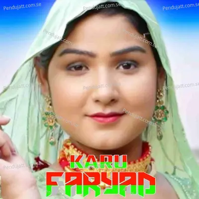 Karu Faryad - Aslam Singer Mewati album cover 