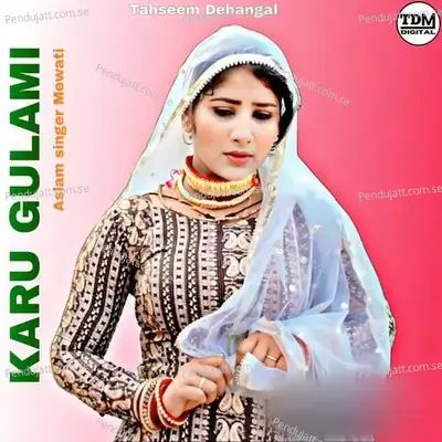 Karu Gulami - Aslam Singer Mewati album cover 