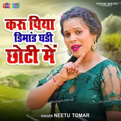 Karu Piya Dimand Ghani Chhoti Mein - Neetu Tomar album cover 