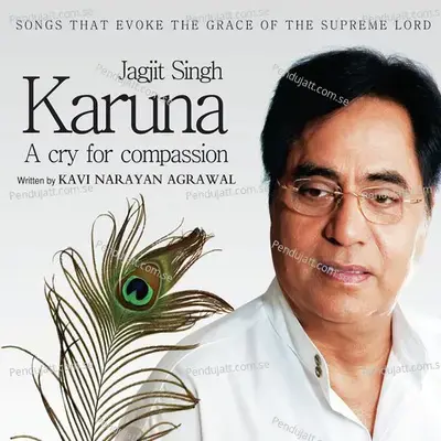 Patit Pawan Naam Tiharo - Jagjit Singh album cover 