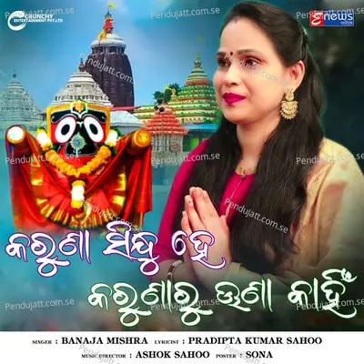 Karuna Sindhu He Karuna Una Kahin - Banaja Mishra album cover 