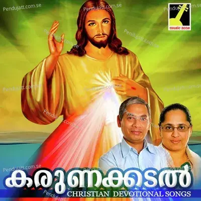 Njanente Avastha - Thomas Abraham album cover 