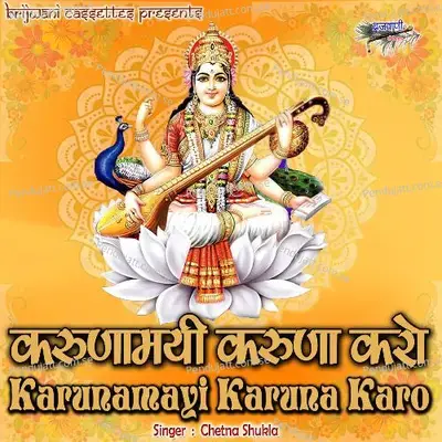 Karunamayi Karuna Karo - Chetna Shukla album cover 