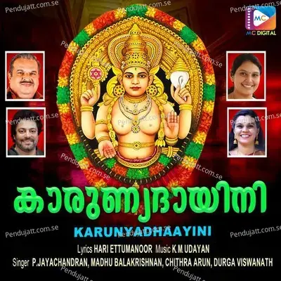 Sarasija Mukhi - Hari Ettumanoor album cover 