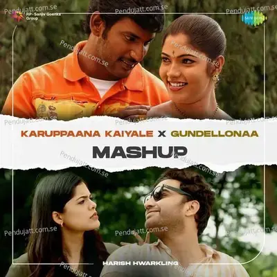 Karuppaana Kaiyale X Gundellonaa - Mashup - Harish Hwarkling album cover 