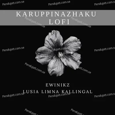 Karuppinazhaku - Ewinikz album cover 