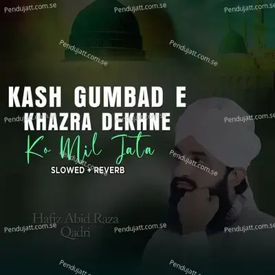 Kash Gumbad E Khazra Dekhne Ko Mil Jata - Hafiz Abid Raza Qadri album cover 