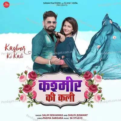 Kashmir Ki Kali - Salim Shekhawas album cover 