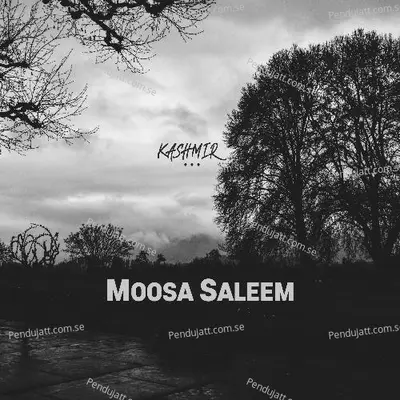 Dastaan-E-Rabab - Moosa Saleem album cover 