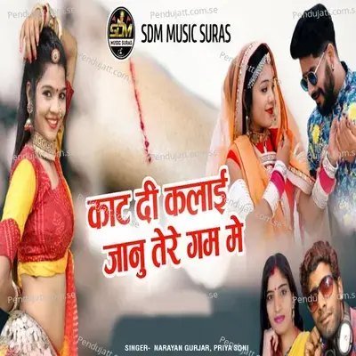 Kat Di Kalai Jaanu Tere Gam Me - Narayan Gurjar album cover 