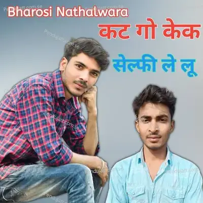 Kat Go Kack Selfie Le Lu - Bharosi Nathalwara album cover 