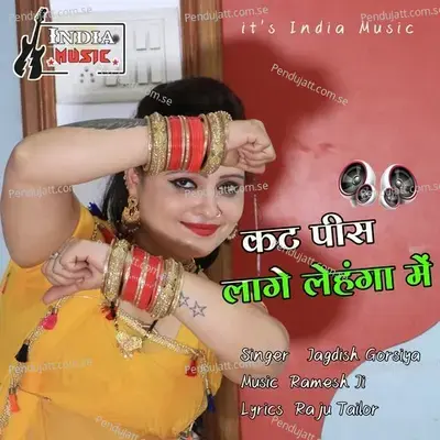 Kat Pis Lage Lehenga Me - Jagdish Gorsiya album cover 