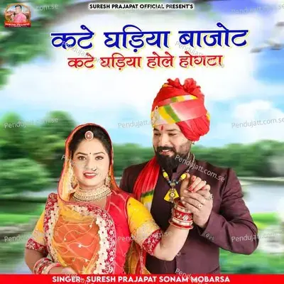 Kate Gadiya Bajot Kate Gadiya Hole Hogta - Suresh Prajapat album cover 