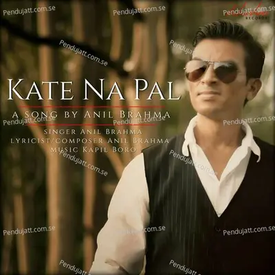 Kate Na Pal - Anil Brahma album cover 