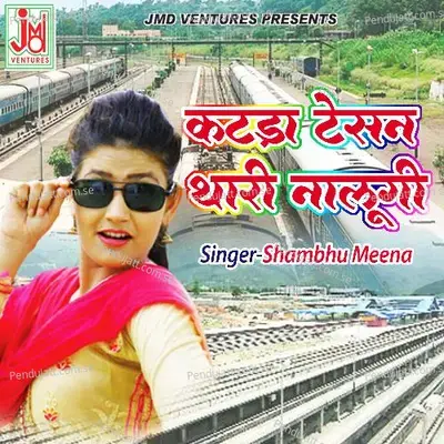 Kateda Tesan Thari Baat Nalugi - Shambhu Meena album cover 