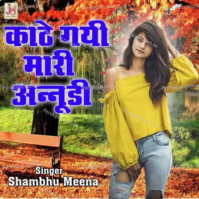 Kathe Gayi Mari Annudi - Shambhu Meena album cover 