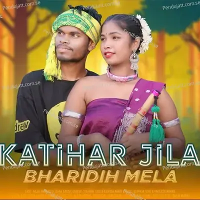 Katihar Jila Bharadih Mela - Stephan Tudu album cover 