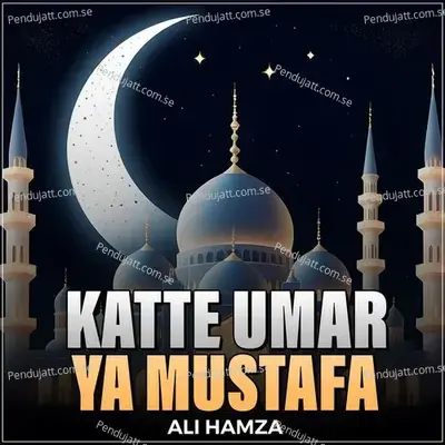 Katte Umar Ya Mustafa - Ali Hamza album cover 