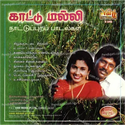 Chinna Chinna Janal - Anitha Kuppuswamy album cover 