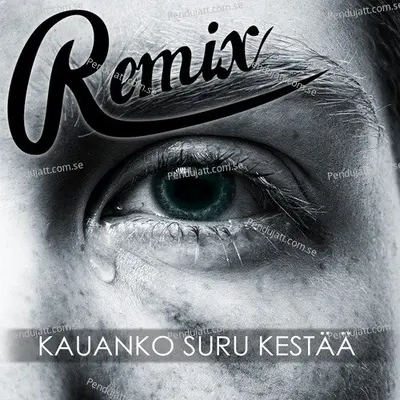 Kauanko Suru Kest - Remix album cover 