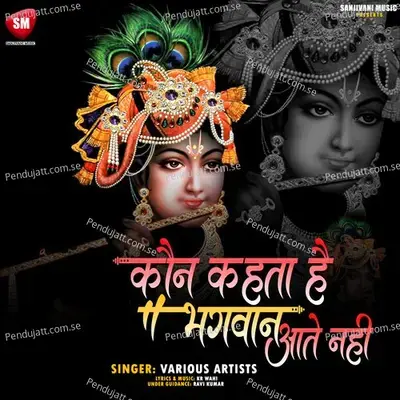 Aao Arzi Lagalein Ghanshyam Se - Neha Nandini album cover 