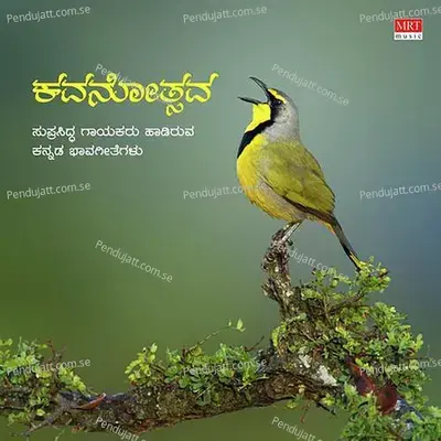 Maatheneeyananthe - Narasimha Nayak album cover 