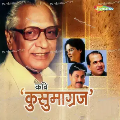 Shravan Aala - Anuradha Kuber album cover 