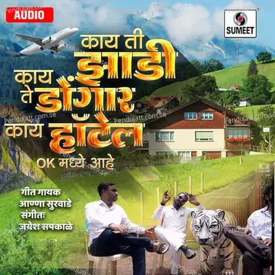 Kay Ti Zadi Kay Te Dongar Kay Te Hotel Ok Madhye Ahe - Anna Surwade album cover 