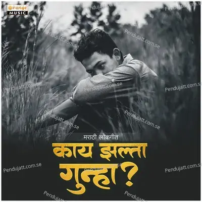 Kay Zalta Gunha - Vikas Salve album cover 