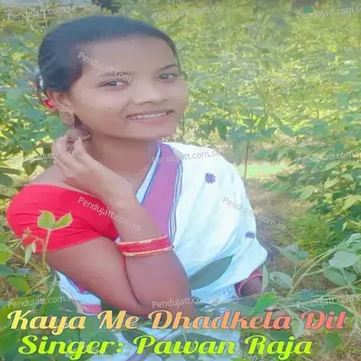 Kaya Me Dhadkela Dil - Pawan Raja album cover 