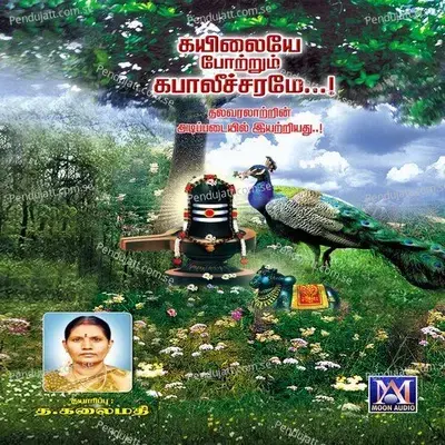 Pesum Dheivame - Kovilpatti Amali album cover 