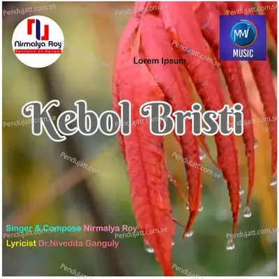 Kebol Bristi - Nirmalya Roy album cover 