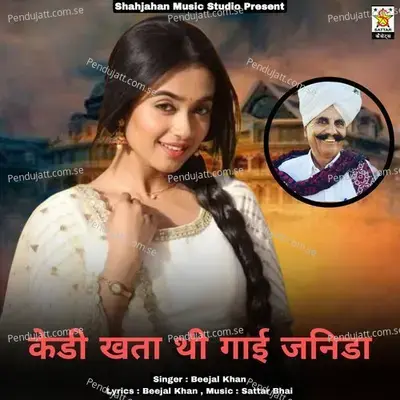 Kedi Khata Thi Gaai Janida - Beejal Khan album cover 