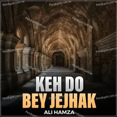 Keh Do Bey Jejhak - Ali Hamza album cover 