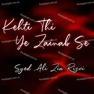 Alwida Ae Tashnigane - Syed Ali Zia Rizvi album cover 