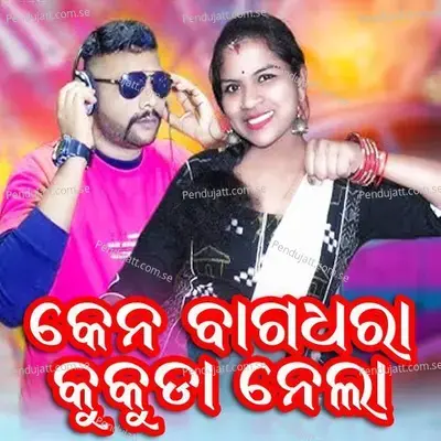 Ken Bagdhara Kukuda Nela - Debananda Chhatria album cover 