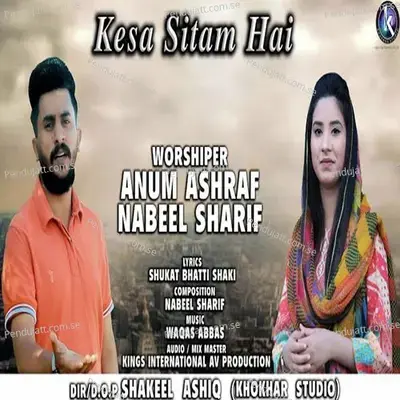 Kesa Sitam Hai wav - Anum Ashraf album cover 
