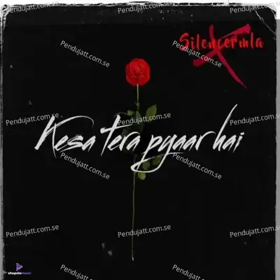 Kesa Tera Pyaar Hai - SilencerMla album cover 