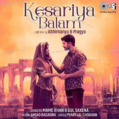 Mufasa  The Lion King  Hindi Original Motion Picture Soundtrack 